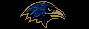 Agency Partner Logo
