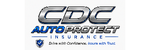Agency Partner Logo
